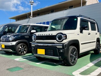 ハスラータフワイルドご納車！